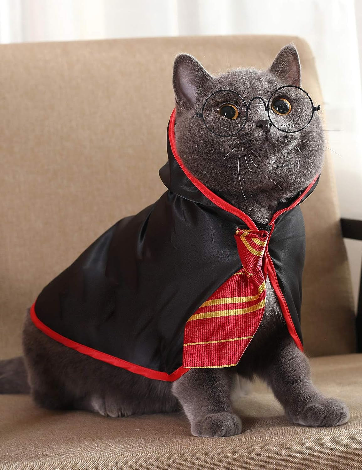 Anime-Inspired Halloween Costume for Cats and Small Dogs - Wizard Accessories Outfit (Size S) in Red