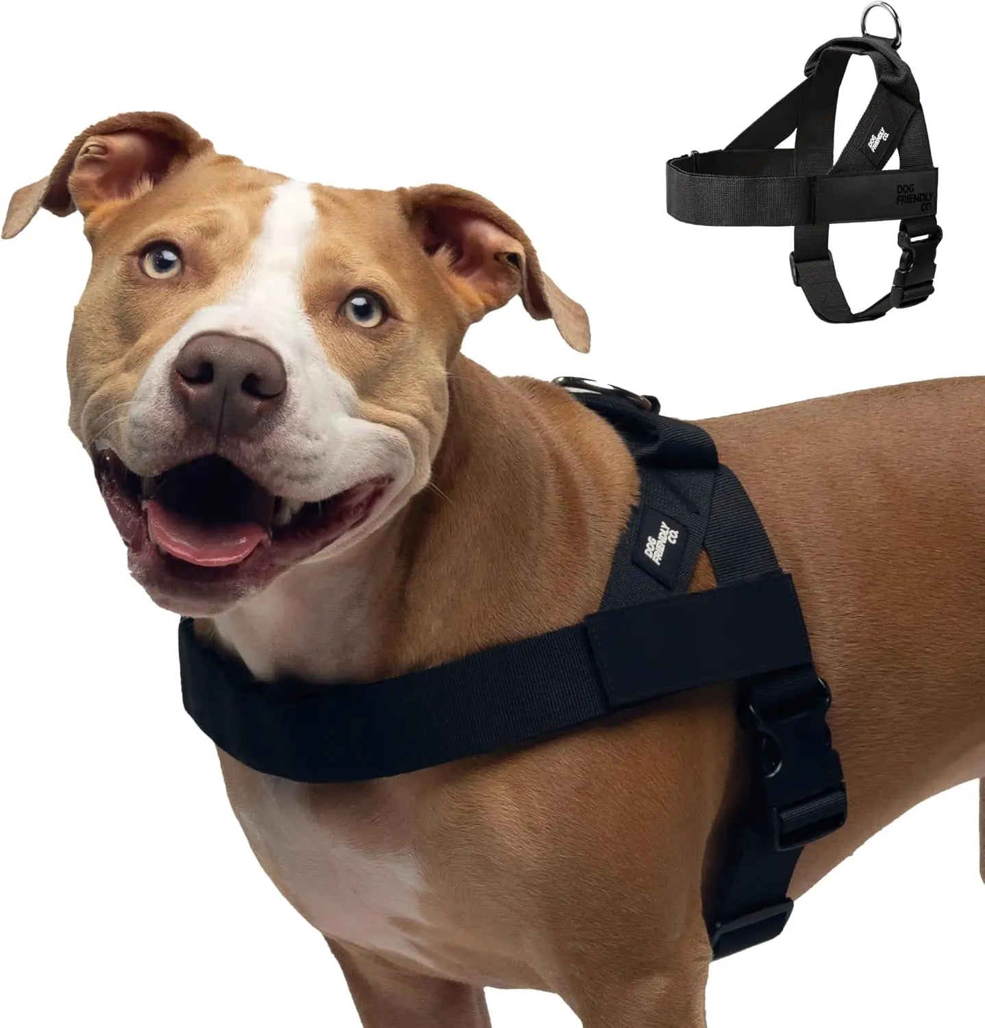 Dog Friendly Co. No-Pull Harness - Ergonomic Easy-Fit Design for Enhanced Safety and Comfort - Suitable for All Breeds - Lightweight and Chafe-Resistant Adjustable Straps