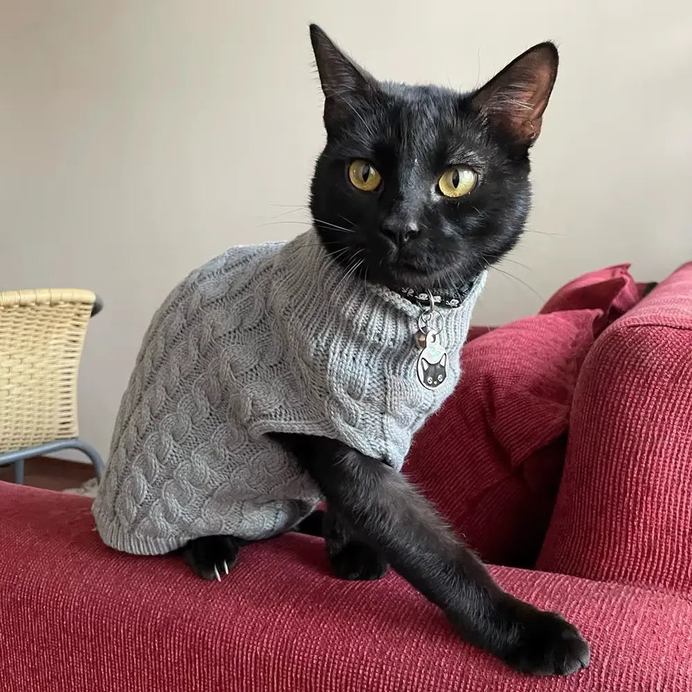 5-Piece Cozy Knitted Sweater Set for Cats and Dogs with 4 Matching Socks - Soft and Warm Pullover for Small Pets, Available in 5 Colors, Machine Washable, Ideal for Winter and Autumn