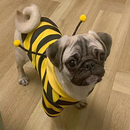 Premium Dog Hoodie Sweatshirt and Cat Sweater for Holidays, Warm Apparel for Small Pets - Yellow Cat Outfit, Puppy Hooded Coat, and Bee Costume for Halloween and Christmas (Yellow, X-Large)