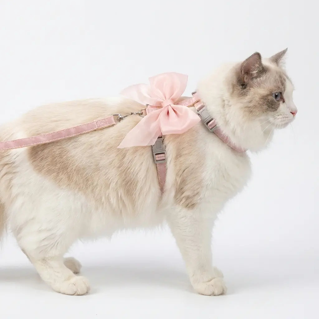Cat Harness & Leash Set with Large Bow Anti-Escape Design for Small Medium Cats Anti-Breaking Not Strangling for Safe Walks Collars