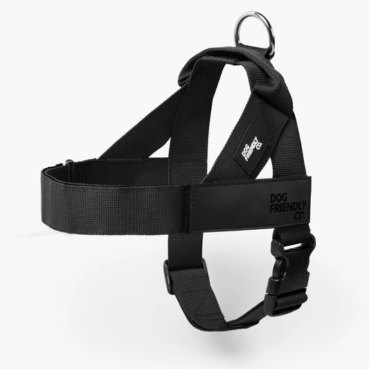 Dog Friendly Co. No-Pull Harness - Ergonomic Easy-Fit Design for Enhanced Safety and Comfort - Suitable for All Breeds - Lightweight and Chafe-Resistant Adjustable Straps