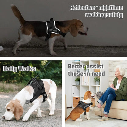 【#Summervibes #Petlovers】Auroth No Pull Dog Harness and Leash Combo with Cute Poop Bag Holder, Reflective Adjustable Soft Padded Safety Harness, Dog Poop Bag Dispenser with 1 Roll 15 Bags, Dog Walking & Training Kit for Small Medium Large Dogs