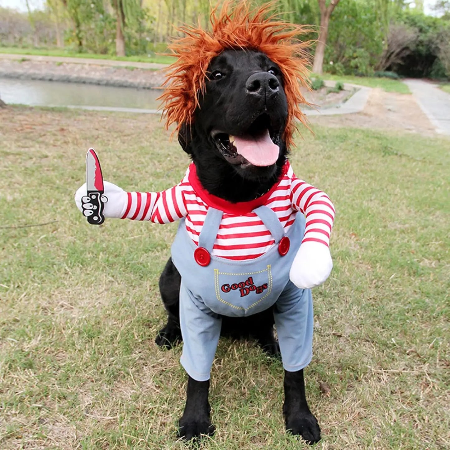 Chucky-Inspired Pet Costume with Wig and Knife Accessory for Dogs and Cats – Creative Halloween Outfit for Small, Medium, and Large Pets