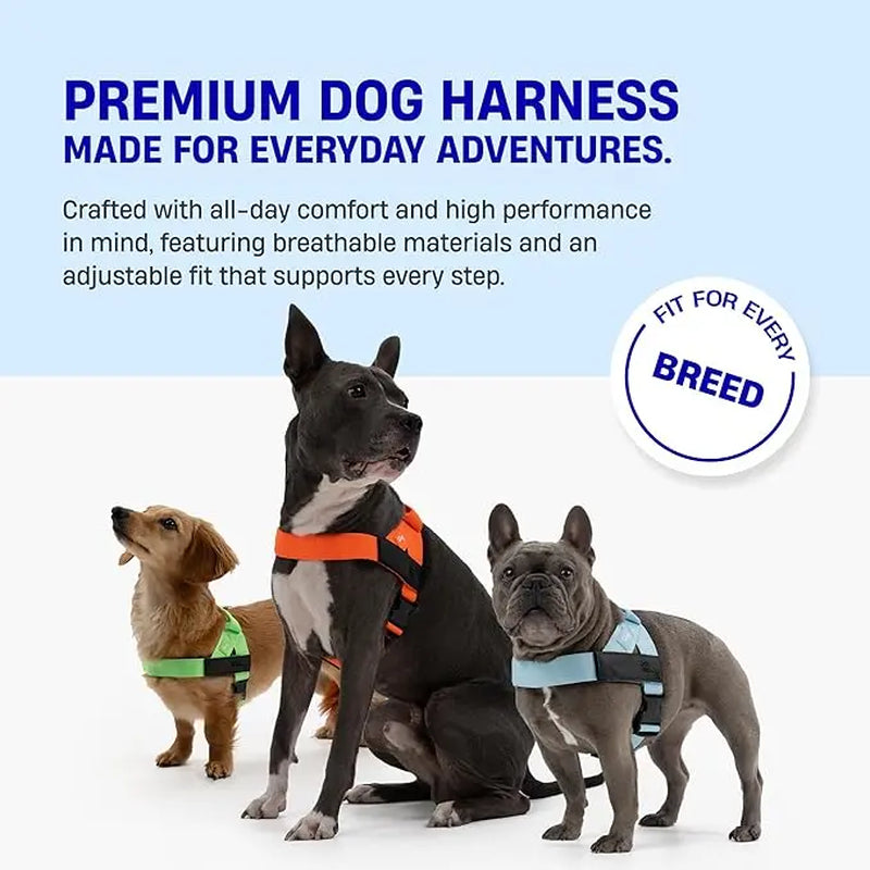 Dog Friendly Co. No-Pull Harness - Ergonomic Easy-Fit Design for Enhanced Safety and Comfort - Suitable for All Breeds - Lightweight and Chafe-Resistant Adjustable Straps
