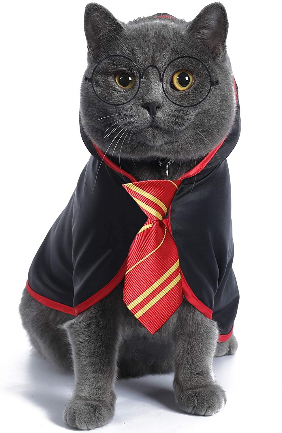 Anime-Inspired Halloween Costume for Cats and Small Dogs - Wizard Accessories Outfit (Size S) in Red