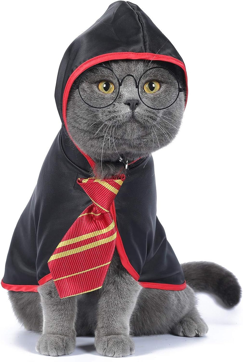 Anime-Inspired Halloween Costume for Cats and Small Dogs - Wizard Accessories Outfit (Size S) in Red