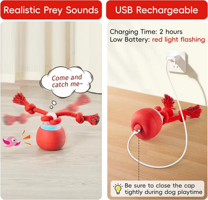 Potaroma Touch-Activated Dog Ball Toy - Rechargeable, Squeaky, and Interactive Moving Ball with Rope for Medium and Small Dogs - Dark Red