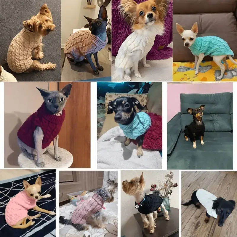 5-Piece Cozy Knitted Sweater Set for Cats and Dogs with 4 Matching Socks - Soft and Warm Pullover for Small Pets, Available in 5 Colors, Machine Washable, Ideal for Winter and Autumn