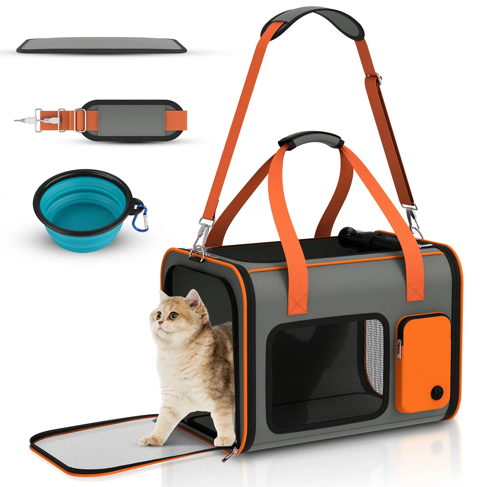 Portable Pet Carrier with Foldable Design for Convenient Storage, Removable and Washable Padded Bottom, Integrated Safety Buckle, Breathable Mesh Construction, Includes Handle and Adjustable Shoulder Strap.