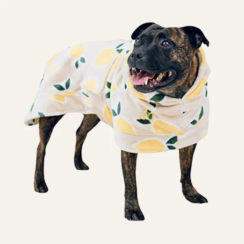 Darren & Phillip Calming Dog Robe - Fleece Coat for Anxiety Relief - Coordinating Women's Robe Available