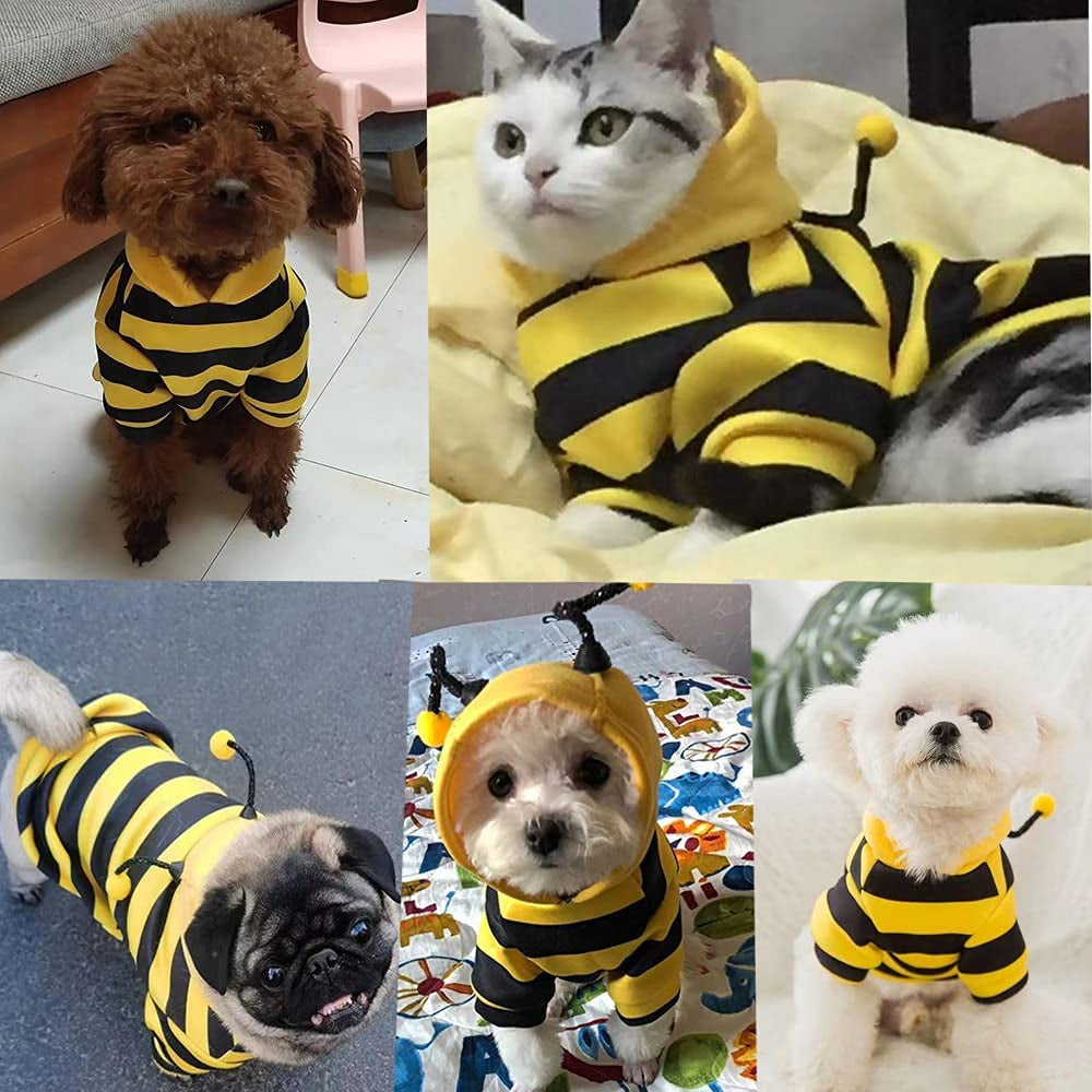 Premium Dog Hoodie Sweatshirt and Cat Sweater for Holidays, Warm Apparel for Small Pets - Yellow Cat Outfit, Puppy Hooded Coat, and Bee Costume for Halloween and Christmas (Yellow, X-Large)