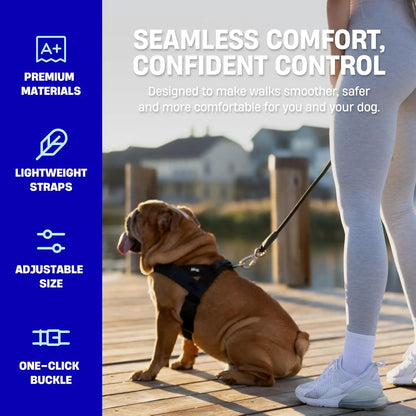 Dog Friendly Co. No-Pull Harness - Ergonomic Easy-Fit Design for Enhanced Safety and Comfort - Suitable for All Breeds - Lightweight and Chafe-Resistant Adjustable Straps