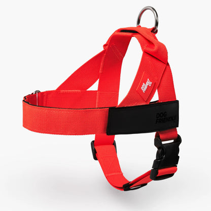 Dog Friendly Co. No-Pull Harness - Ergonomic Easy-Fit Design for Enhanced Safety and Comfort - Suitable for All Breeds - Lightweight and Chafe-Resistant Adjustable Straps