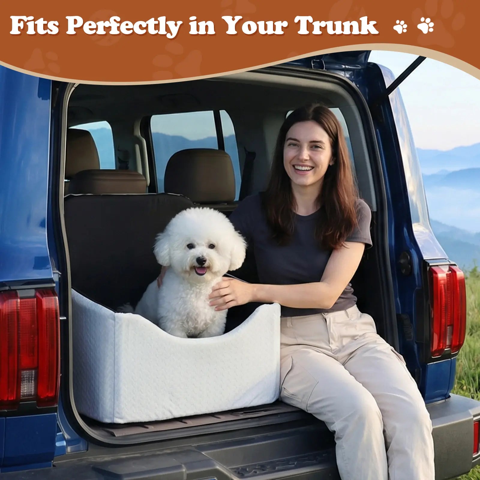 VALUXE Dog Car Booster Seat - All-Season Enclosed Design with Seat Belt Straps, Non-Slip and Waterproof Pet Travel Seat