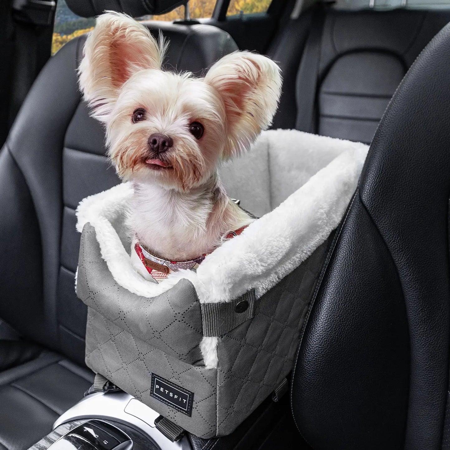 PETSFIT Center Console Dog Car Seat with Enhanced Safety Features, Washable Cushion, and 5-Year Warranty for Small Dogs Up to 8 lbs (Grey)