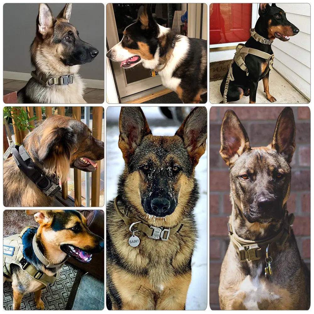Adjustable Heavy-Duty Tactical Dog Training Collar with Quick Release Buckle for Safety and Comfort - 1000D Nylon
