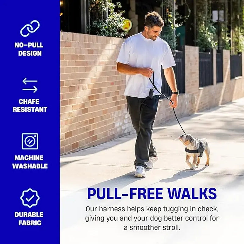 Dog Friendly Co. No-Pull Harness - Ergonomic Easy-Fit Design for Enhanced Safety and Comfort - Suitable for All Breeds - Lightweight and Chafe-Resistant Adjustable Straps