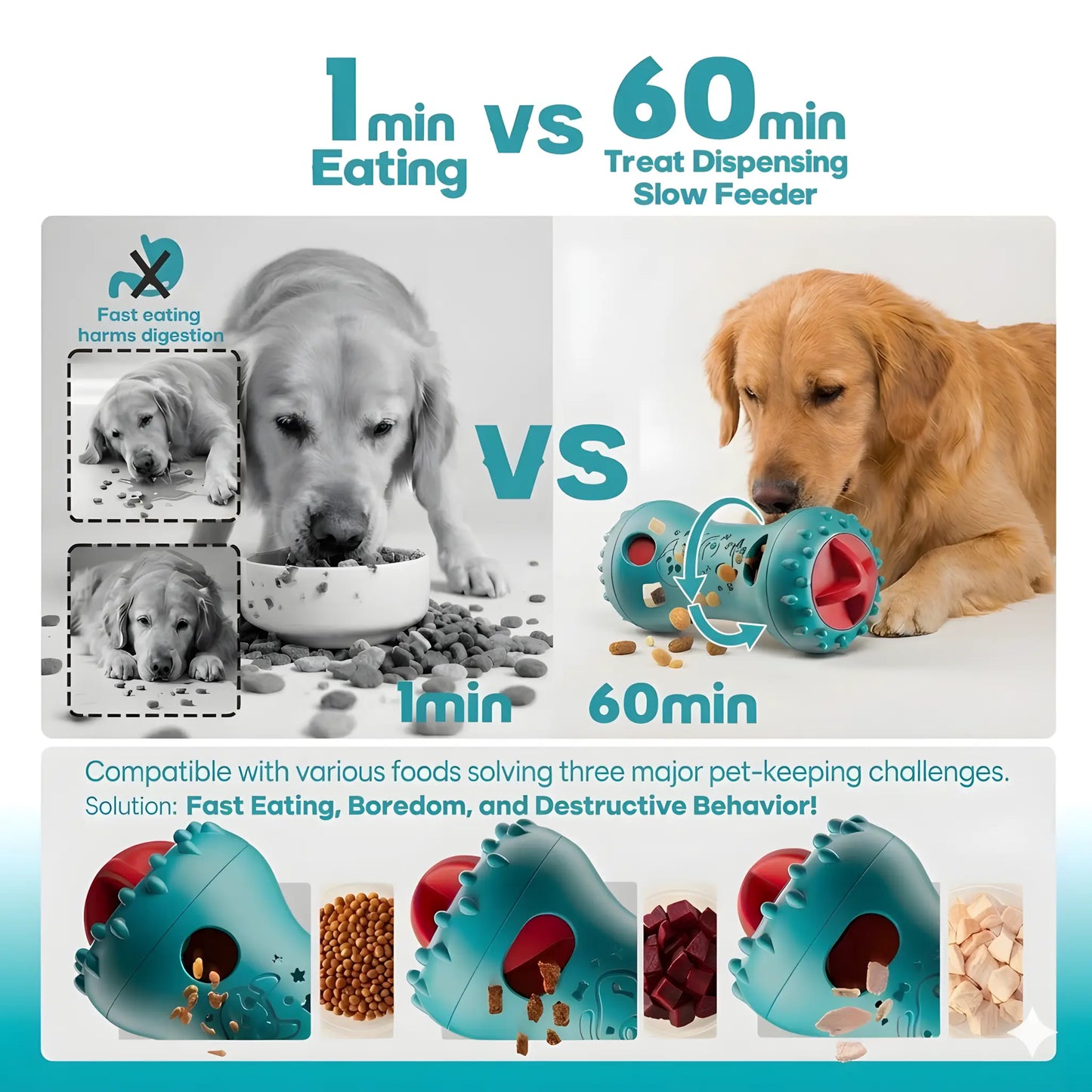 LUMIKATA Dual-Function Dog Puzzle Toy & Slow Feeder: Adjustable 3-Level Treat Dispenser to Promote Healthy Eating Habits and Cognitive Stimulation for All Breeds - Durable Heavy-Duty Nylon for Aggressive Chewers