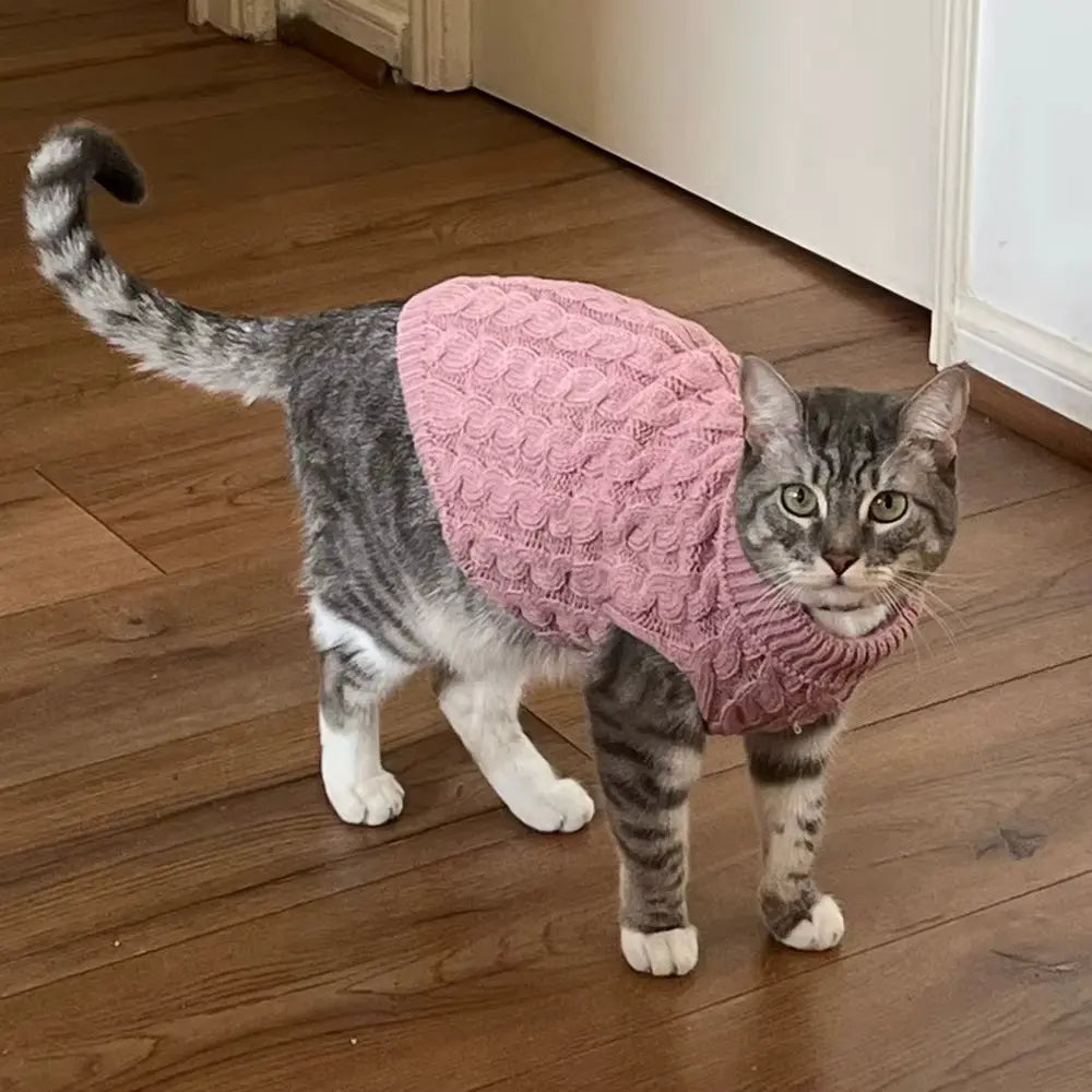 5-Piece Cozy Knitted Sweater Set for Cats and Dogs with 4 Matching Socks - Soft and Warm Pullover for Small Pets, Available in 5 Colors, Machine Washable, Ideal for Winter and Autumn