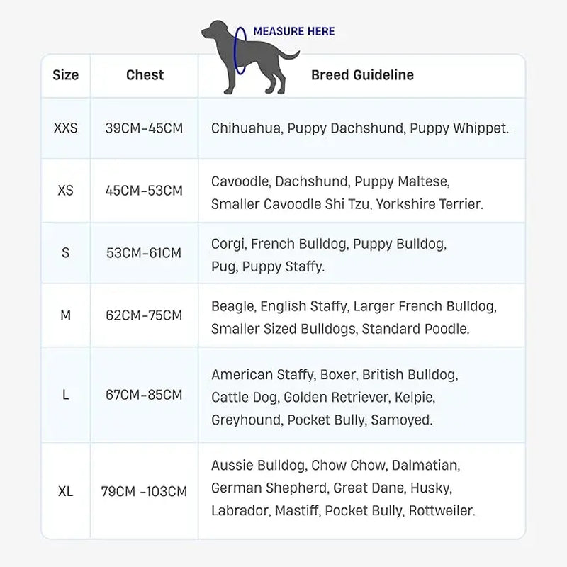Dog Friendly Co. No-Pull Harness - Ergonomic Easy-Fit Design for Enhanced Safety and Comfort - Suitable for All Breeds - Lightweight and Chafe-Resistant Adjustable Straps