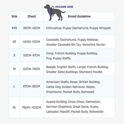 Dog Friendly Co. No-Pull Harness - Ergonomic Easy-Fit Design for Enhanced Safety and Comfort - Suitable for All Breeds - Lightweight and Chafe-Resistant Adjustable Straps